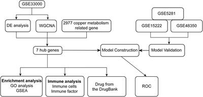 Diagnostic models and predictive drugs associated with cuproptosis hub genes in Alzheimer's disease